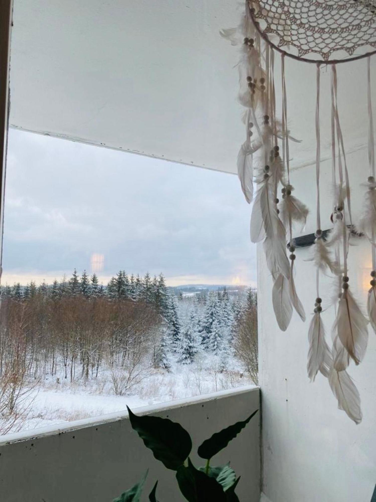 Hahnenklee Hills Lägenhet Goslar Exteriör bild