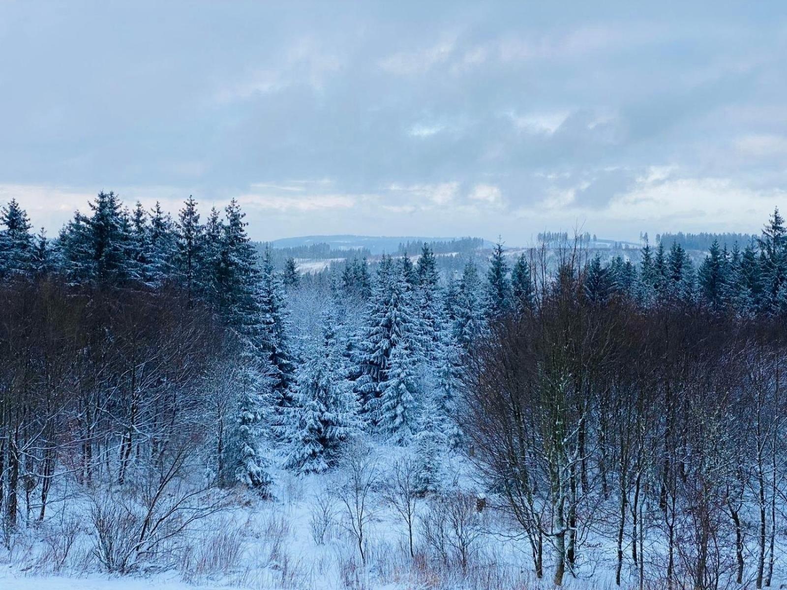 Hahnenklee Hills Lägenhet Goslar Exteriör bild